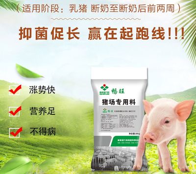 生豬產(chǎn)量大省再遇挑戰(zhàn) 湖北飼料問題引發(fā)產(chǎn)業(yè)關(guān)注