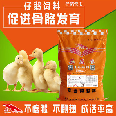 7周齡前育雛期鵝的飼料與飼喂指南 小周來幫您